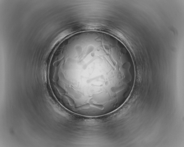 X0000112821227200908211159