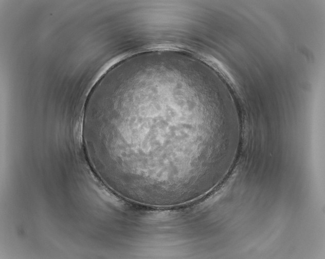 X0000112821228200908211159
