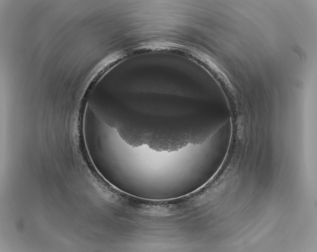 X0000112821229200908211159