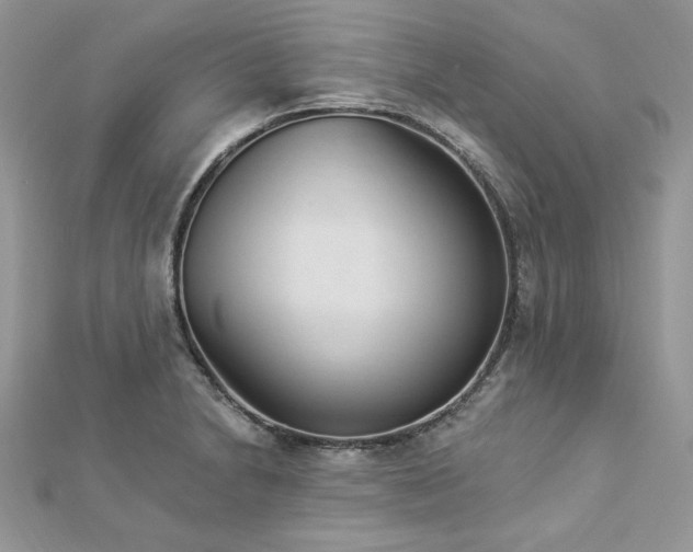 X0000112821230200908211159