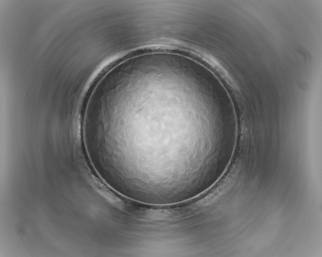 X0000112821232200908211159
