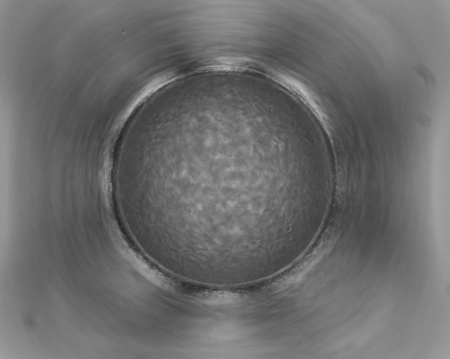 X0000112821235200908211159