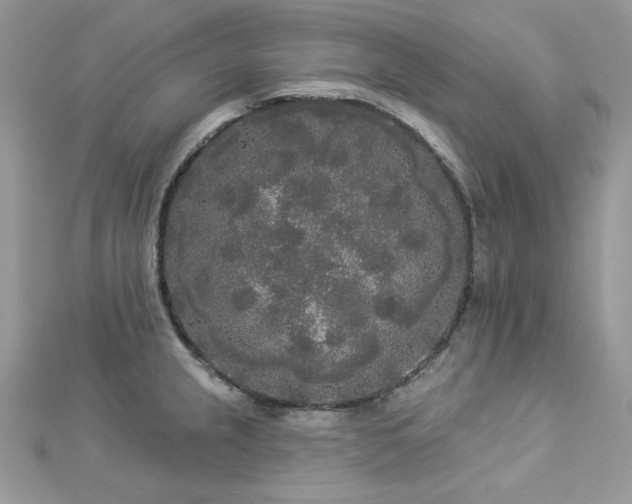 X0000112821237200908211159
