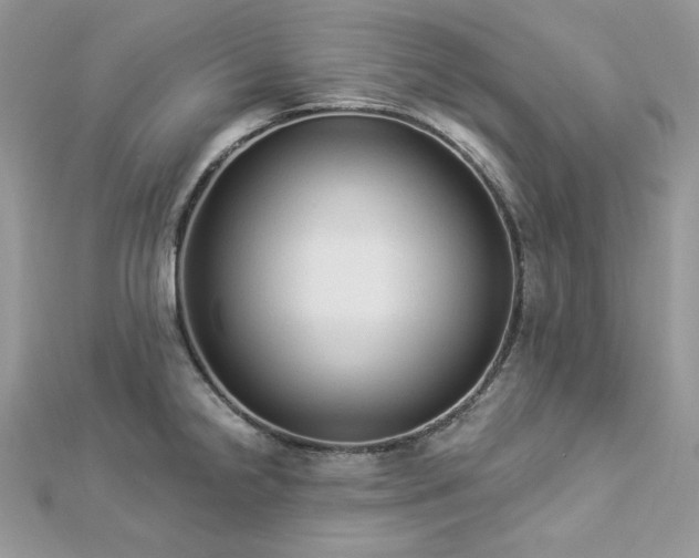 X0000112821238200908211159