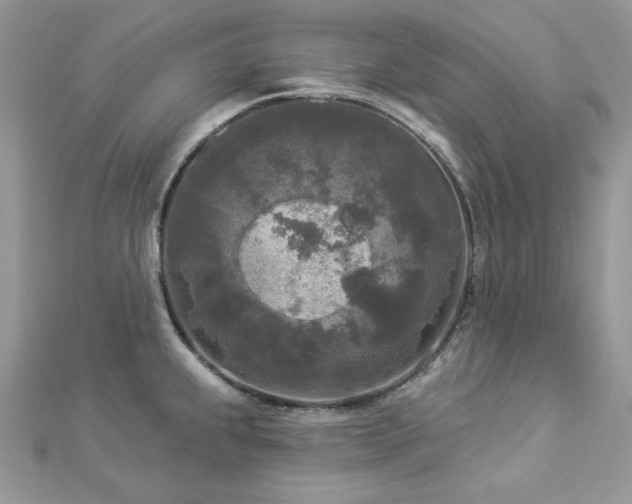 X0000112821239200908211159