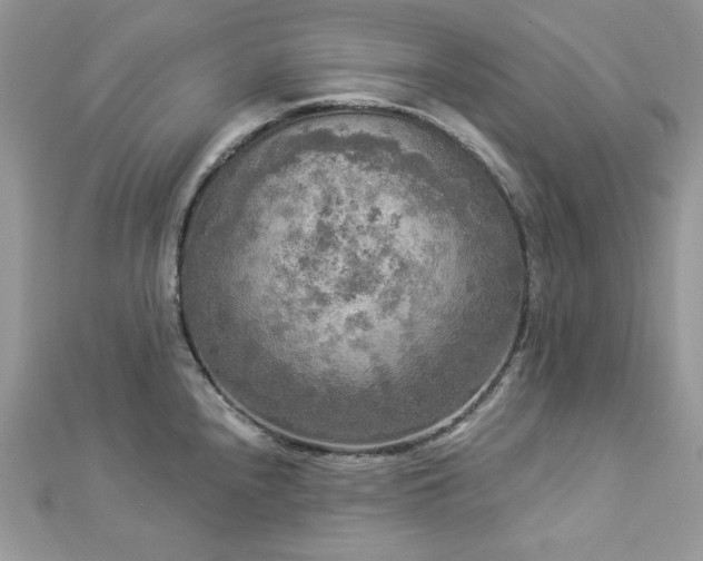 X0000112821240200908211159