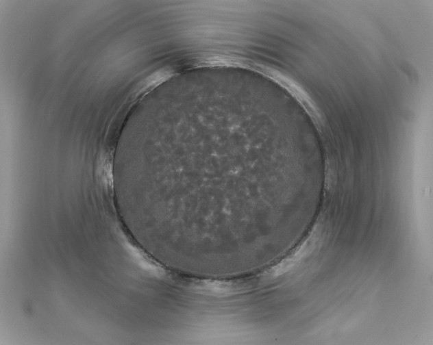 X0000112821241200908211159