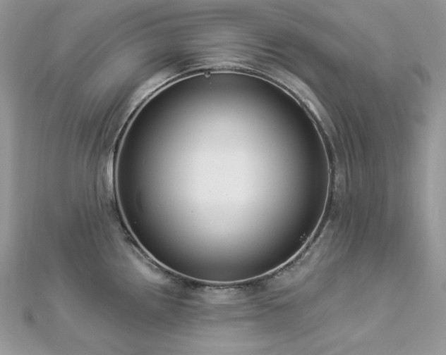 X0000112821242200908211159