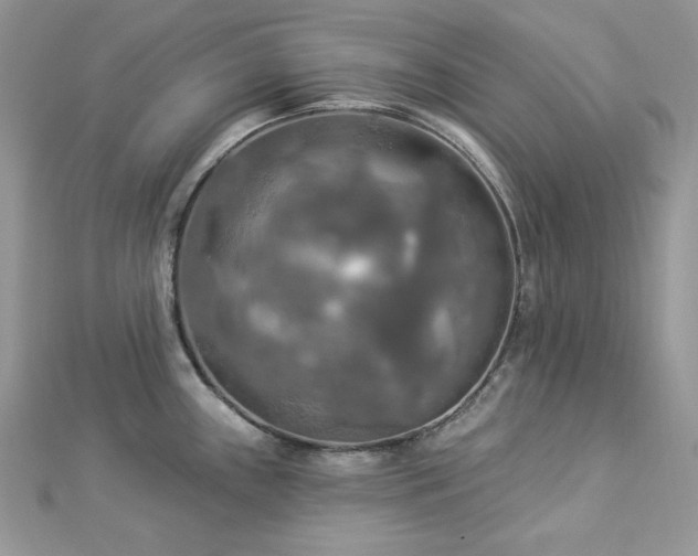 X0000112821243200908211159