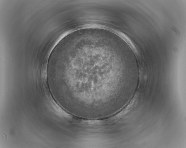 X0000112821244200908211159