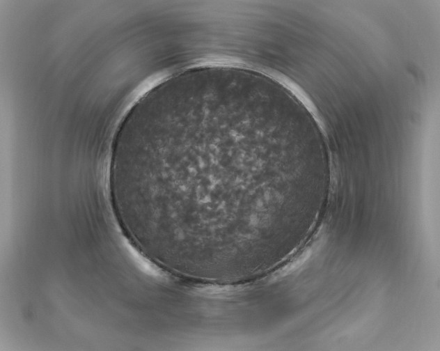 X0000112821245200908211159