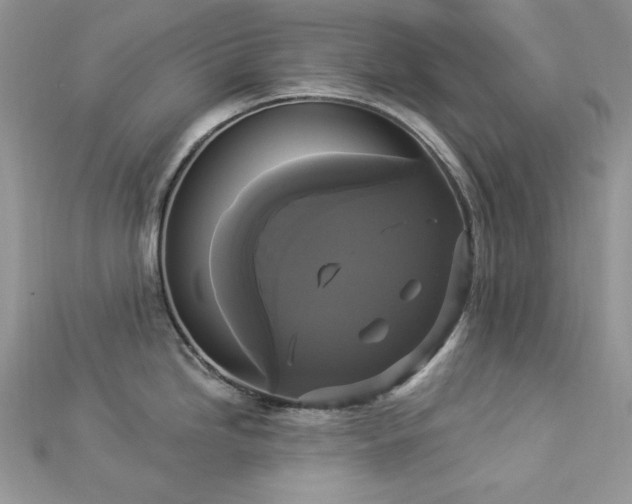 X0000112821246200908211159