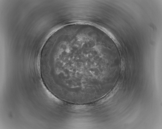 X0000112821247200908211159