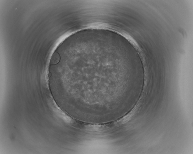 X0000112821248200908211159