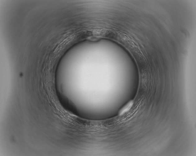 X0000112821249200908211158
