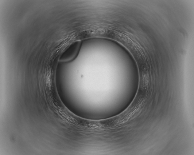 X0000112821250200908211158