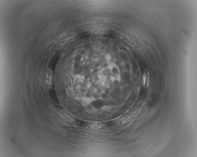 X0000112821251200908211158