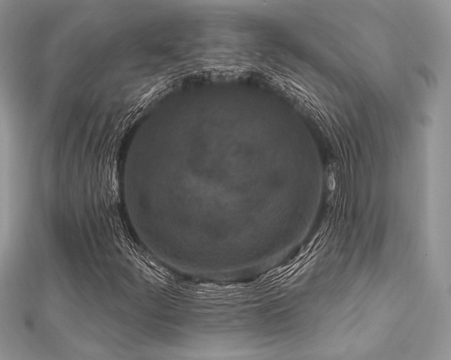 X0000112821252200908211158
