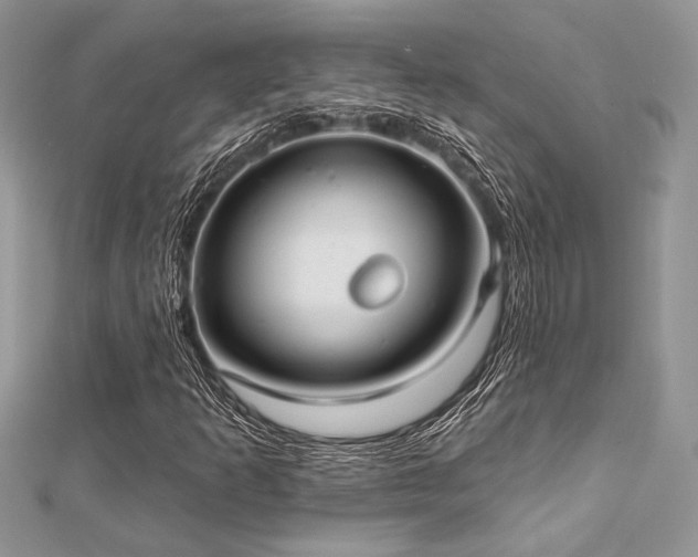 X0000112821253200908211158