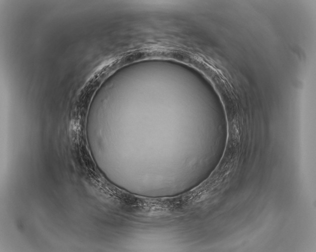 X0000112821254200908211158