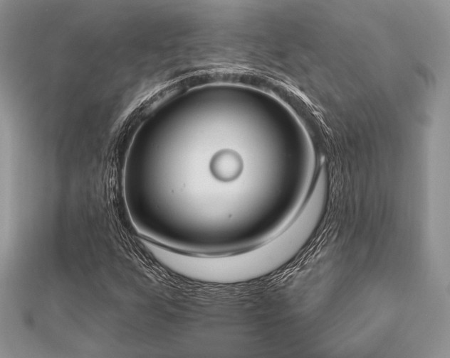 X0000112821255200908211158