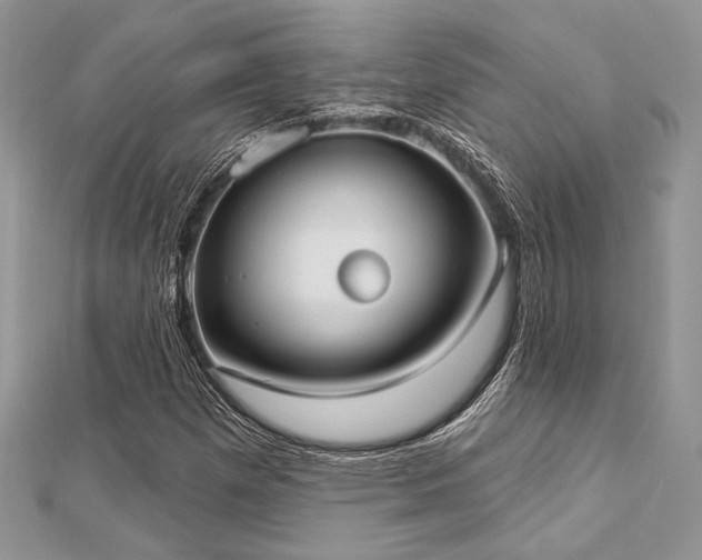 X0000112821257200908211158