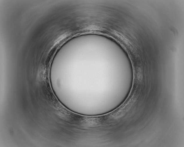 X0000112821258200908211158