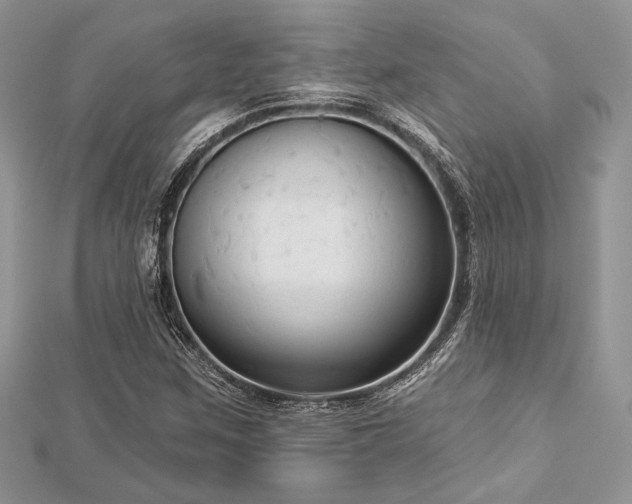 X0000112821259200908211158