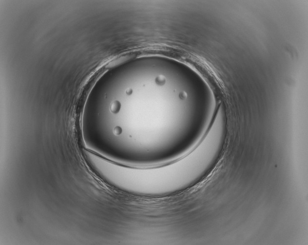X0000112821260200908211158