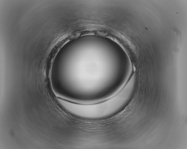 X0000112821261200908211158