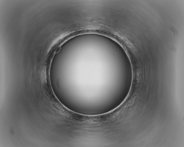 X0000112821262200908211158