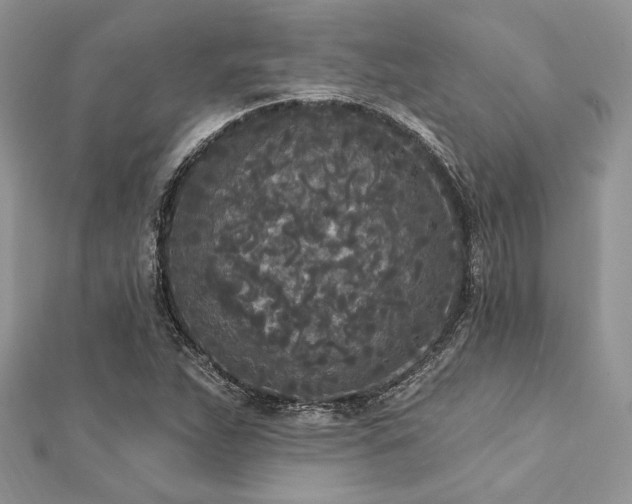 X0000112821263200908211158