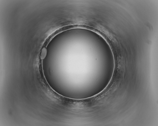 X0000112821264200908211158