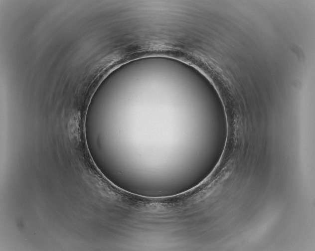 X0000112821265200908211158