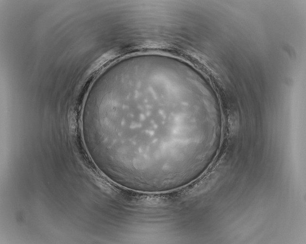 X0000112821266200908211158