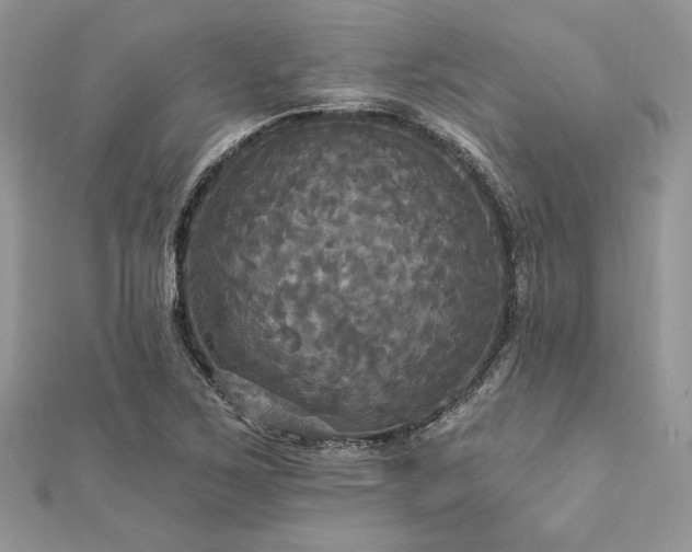 X0000112821267200908211158