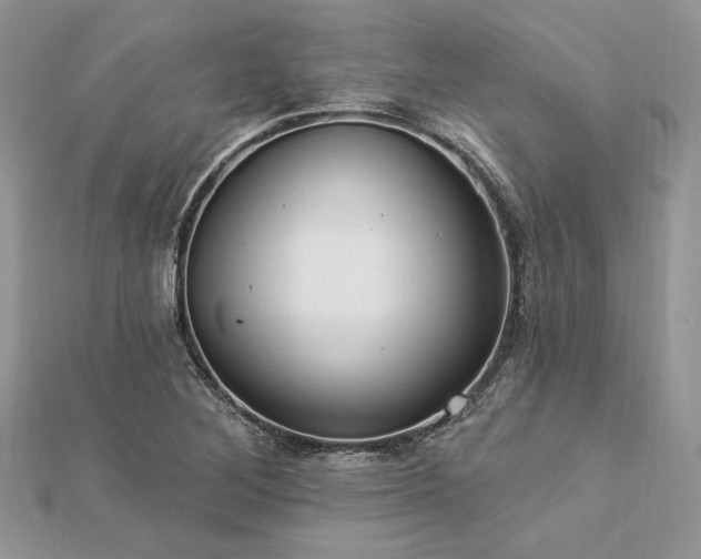 X0000112821268200908211158