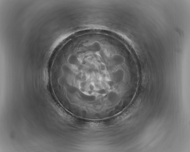 X0000112821271200908211158
