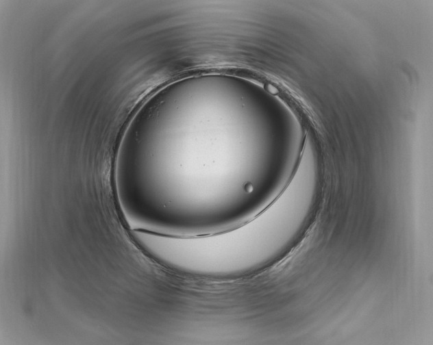 X0000112821273200908211158