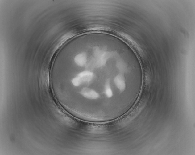 X0000112821274200908211158