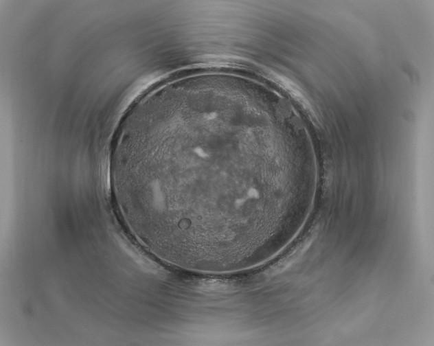 X0000112821275200908211158