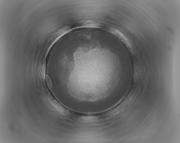 X0000112821276200908211158