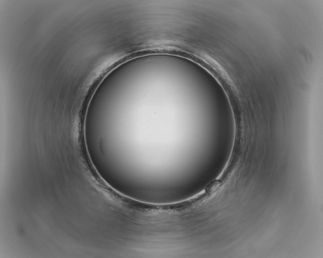 X0000112821277200908211158