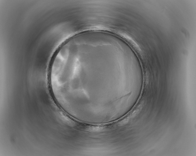 X0000112821278200908211158