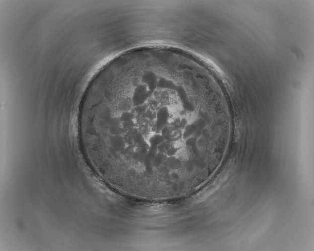 X0000112821279200908211158