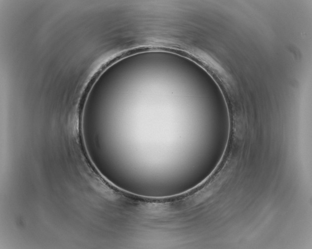 X0000112821280200908211158