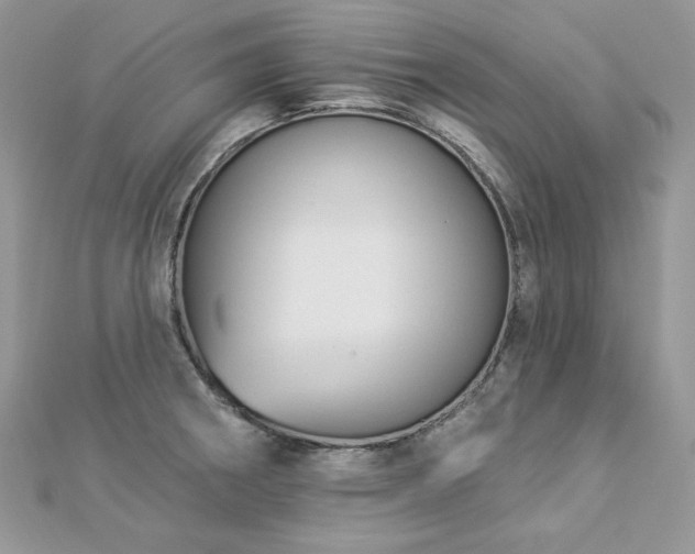 X0000112821282200908211158