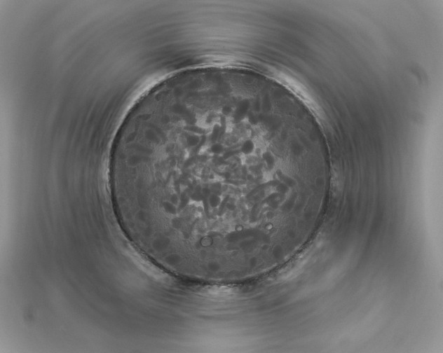 X0000112821283200908211158