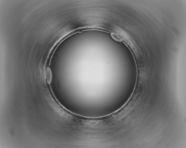 X0000112821284200908211158