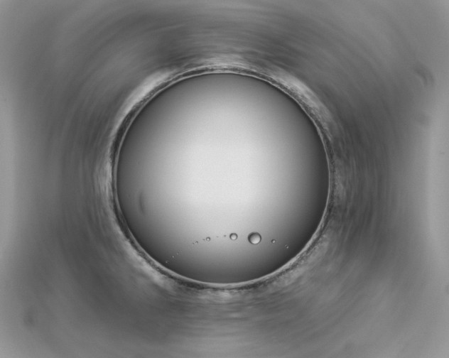 X0000112821286200908211158